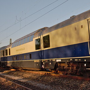 DSC_9378_01.jpg