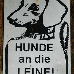 Hunde an die Leine