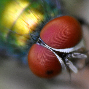 Makro 3 klein