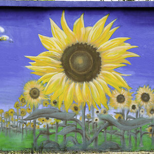 Sonnenblumen Graffiti
