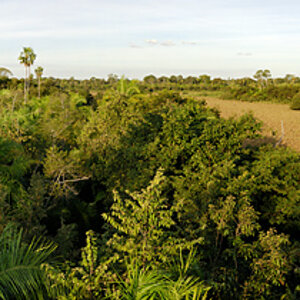 Pantanal Pano1
