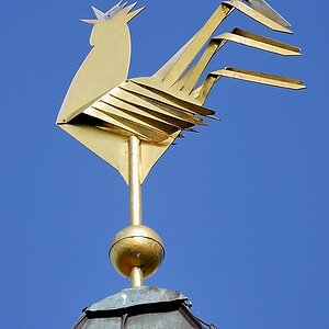 DSC4776kl