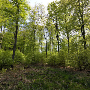L190422-01.JPG