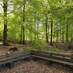L190422-04.JPG