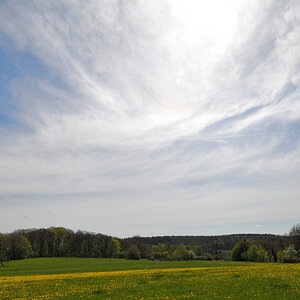 L190422-15.JPG