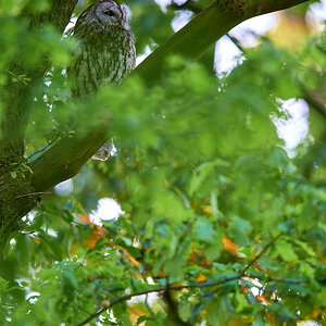 DSC_5564.jpg