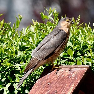 D72_3809.jpg