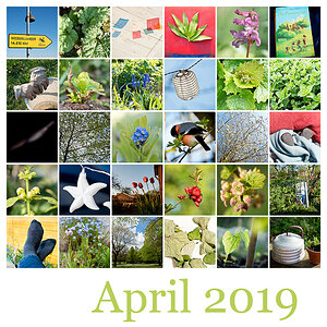 Mosaik April 2019