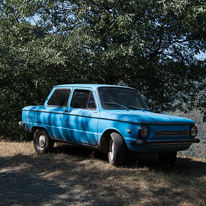 DSC_7907-1.JPG