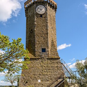 TZ_ZIM_8691.jpg
