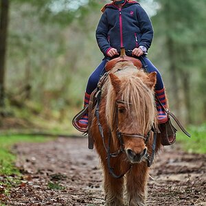 Reiten.jpg