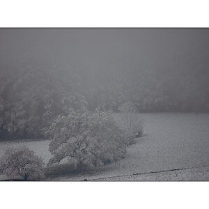 MorgenPZ1_1202.jpg