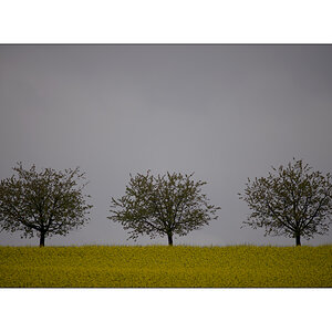 MorgenPZ1_1208.jpg