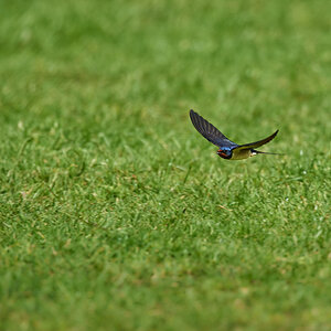 DSC_6476 1.jpg