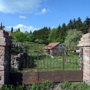 Ziege_1200.jpg