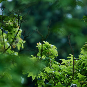 DSC_7176.jpg