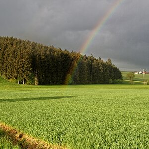 DSC_0113_DxO2.jpg