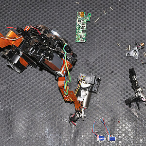DSC_10680.jpg