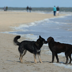 DSC_8871_00003.jpg