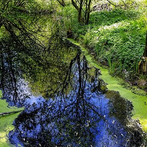 TZ_2019-05-11_13.15.jpg