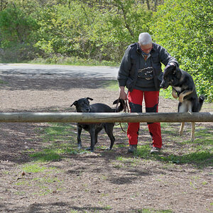 DSC_9050_00004.jpg