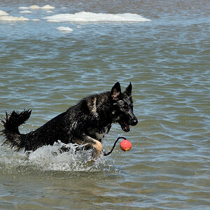 DSC_9208_00001.jpg