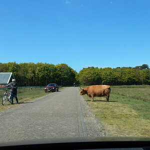 DSCN2879_00001.jpg