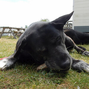 DSCN2926_00004.jpg