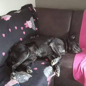 IMG-20190516-WA0008_00001.jpg