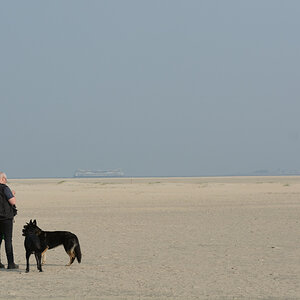 DSC_9441_00004.jpg