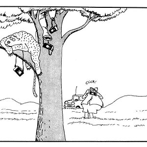 Gary_Larson_1.jpg