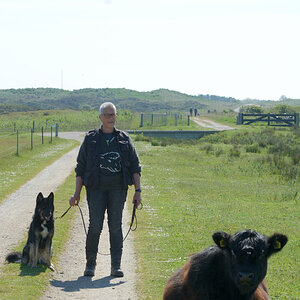 DSC_0179_00003.jpg