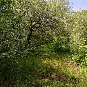 DSC_0379_DxO2.jpg