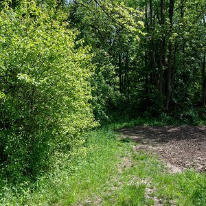DSC_0407_DxO2.jpg