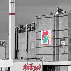 Kellogg's - Color Key