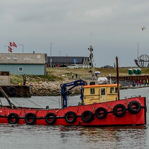 TZ_ZIM_8796.jpg