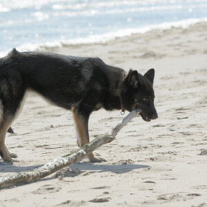 Jutter (Strandräuberin) Momo