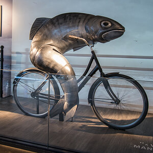 Radelnder Fisch.jpg