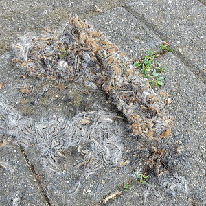 DSCN3037 Kopie.jpg