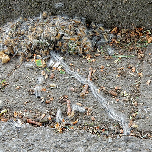 DSCN3057 Kopie.jpg