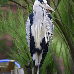 _DSC5773_00001.JPG