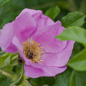 DSC_9452.jpg
