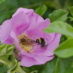 DSC_9451.jpg