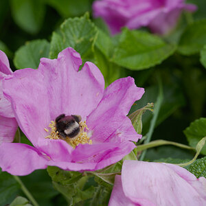 DSC_9449.jpg