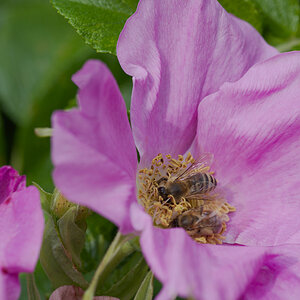 DSC_9443.jpg