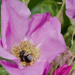 DSC_9439.jpg