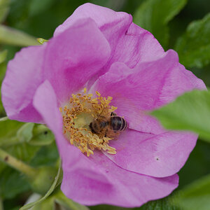 DSC_9435.jpg