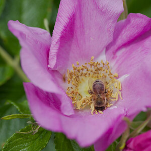 DSC_9426.jpg