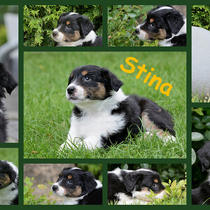 Stina