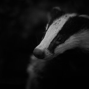 E31ABEB0-DC82-465B-88BA-CB9D5C50ACF9.jpeg